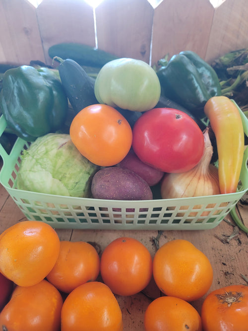 2 Person Produce Basket