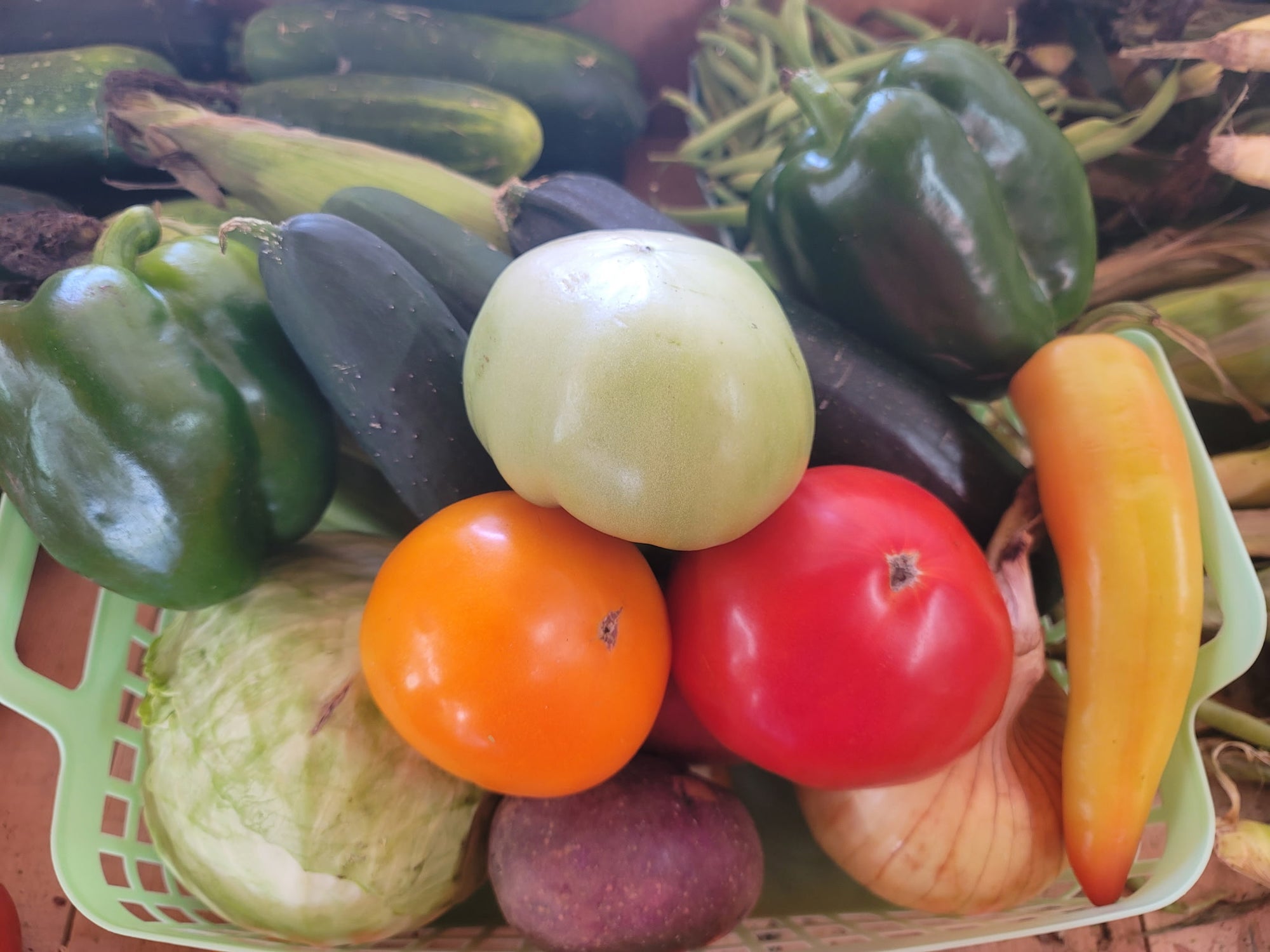2 Person Produce Basket