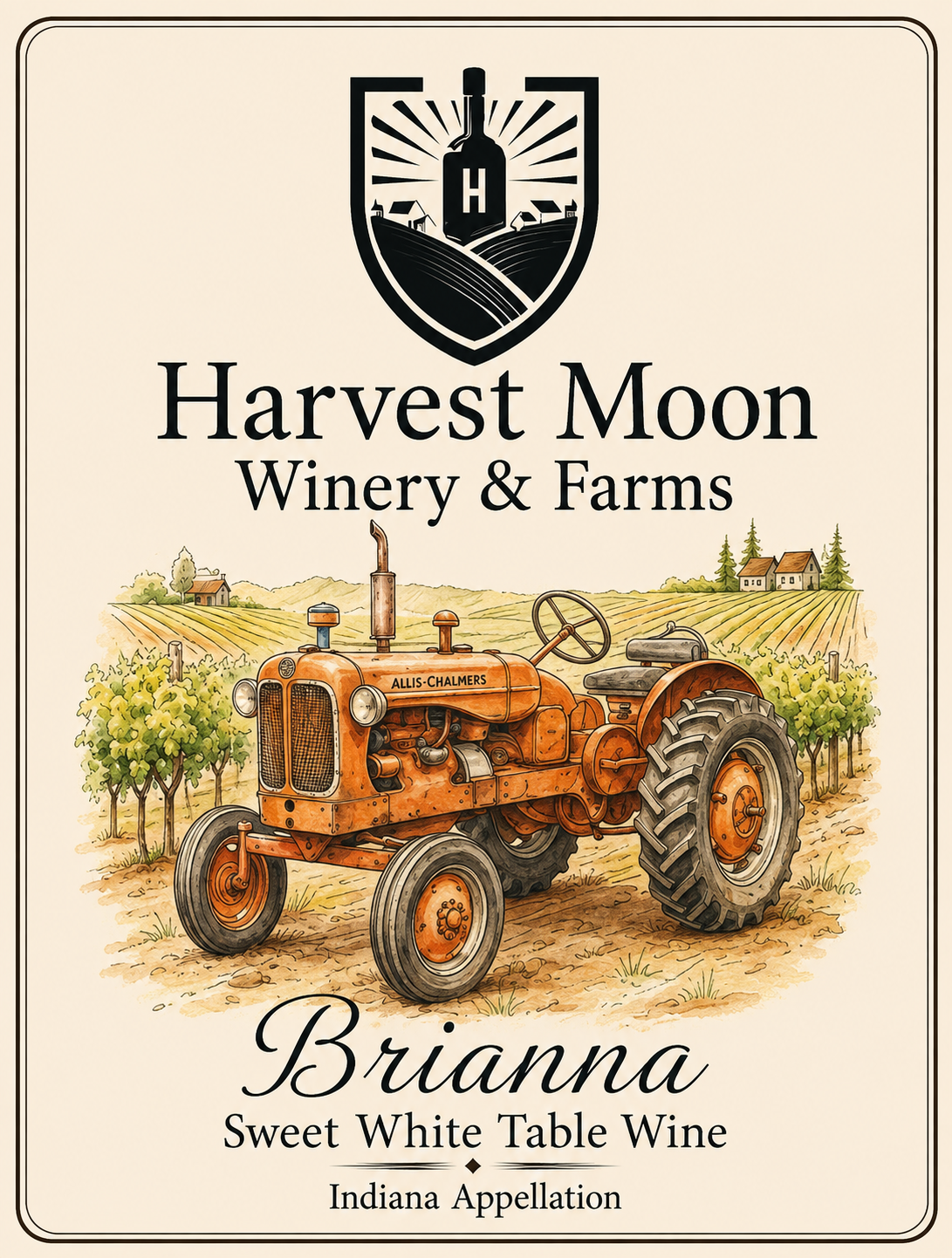 Brianna Wine Bottle