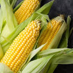 Fresh Sweet Corn (Half Dozen)