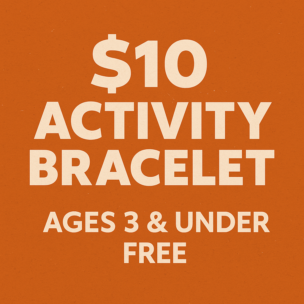 ((Friday)) Activity Bracelet – Fright At The Farm