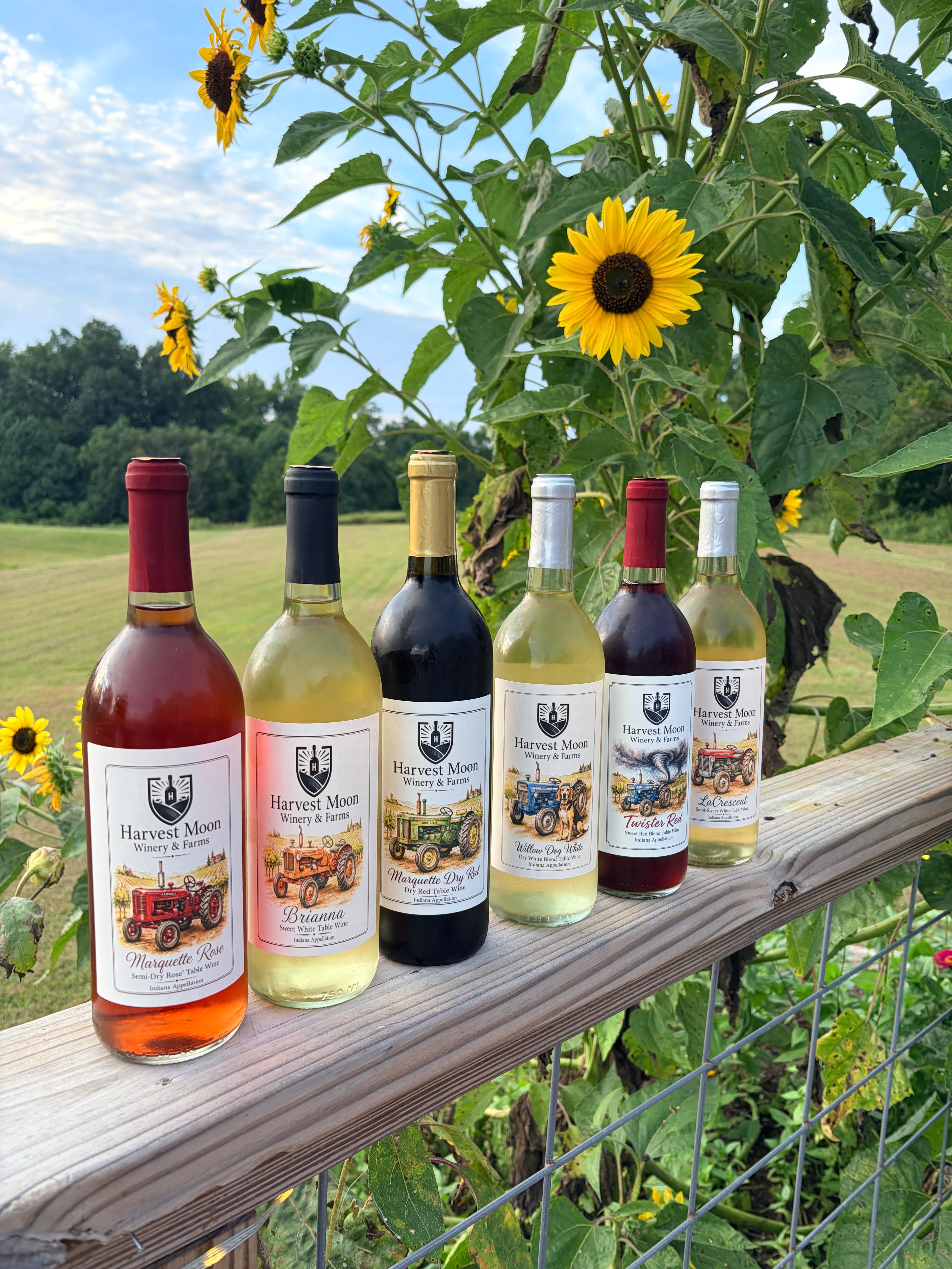 Fall Foliage Wine Stroll Nov 8 – Harvest Moon Winery & Farms
